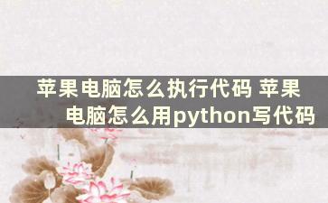 苹果电脑怎么执行代码 苹果电脑怎么用python写代码